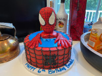 Brooks' Sixth Birthday