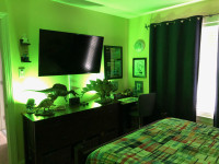 Carter's Room Update
