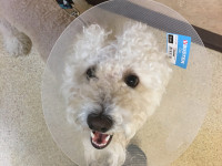 Clark on the DL