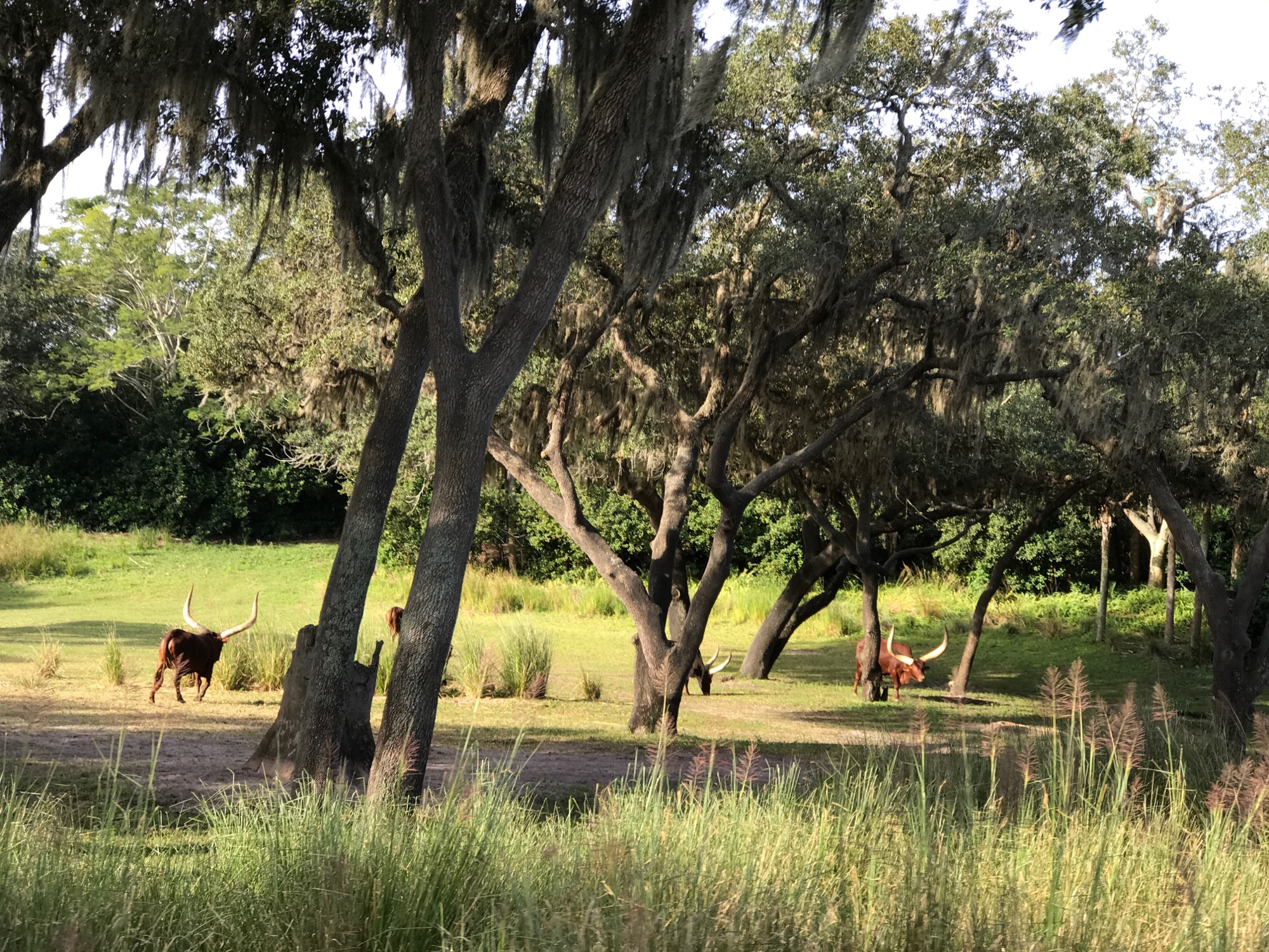 disney-trip-2016-90 photo