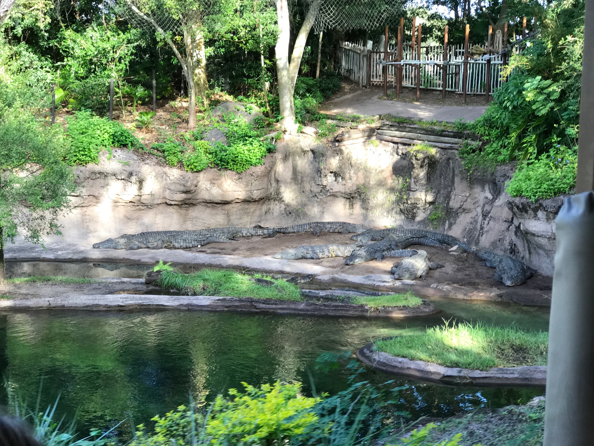 disney-trip-2016-89 photo