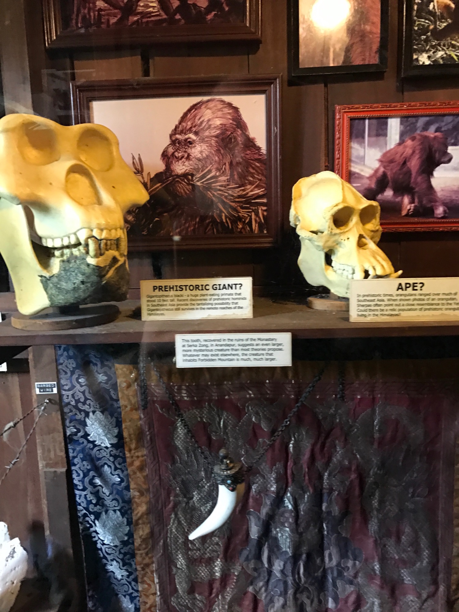 disney-trip-2016-115 photo