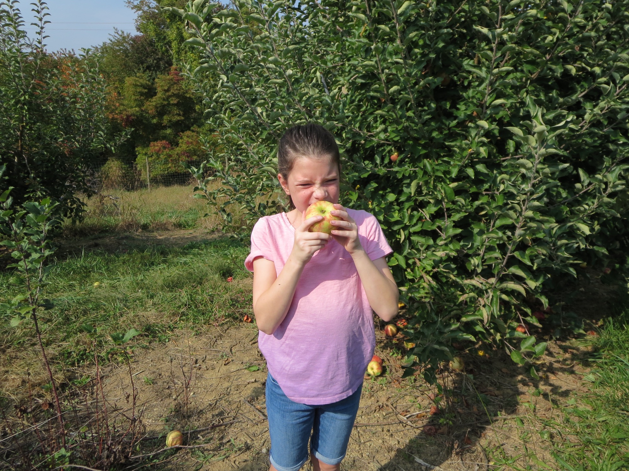 img_0447 photo
