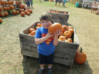 Fall at Highlands Orchards 2013
