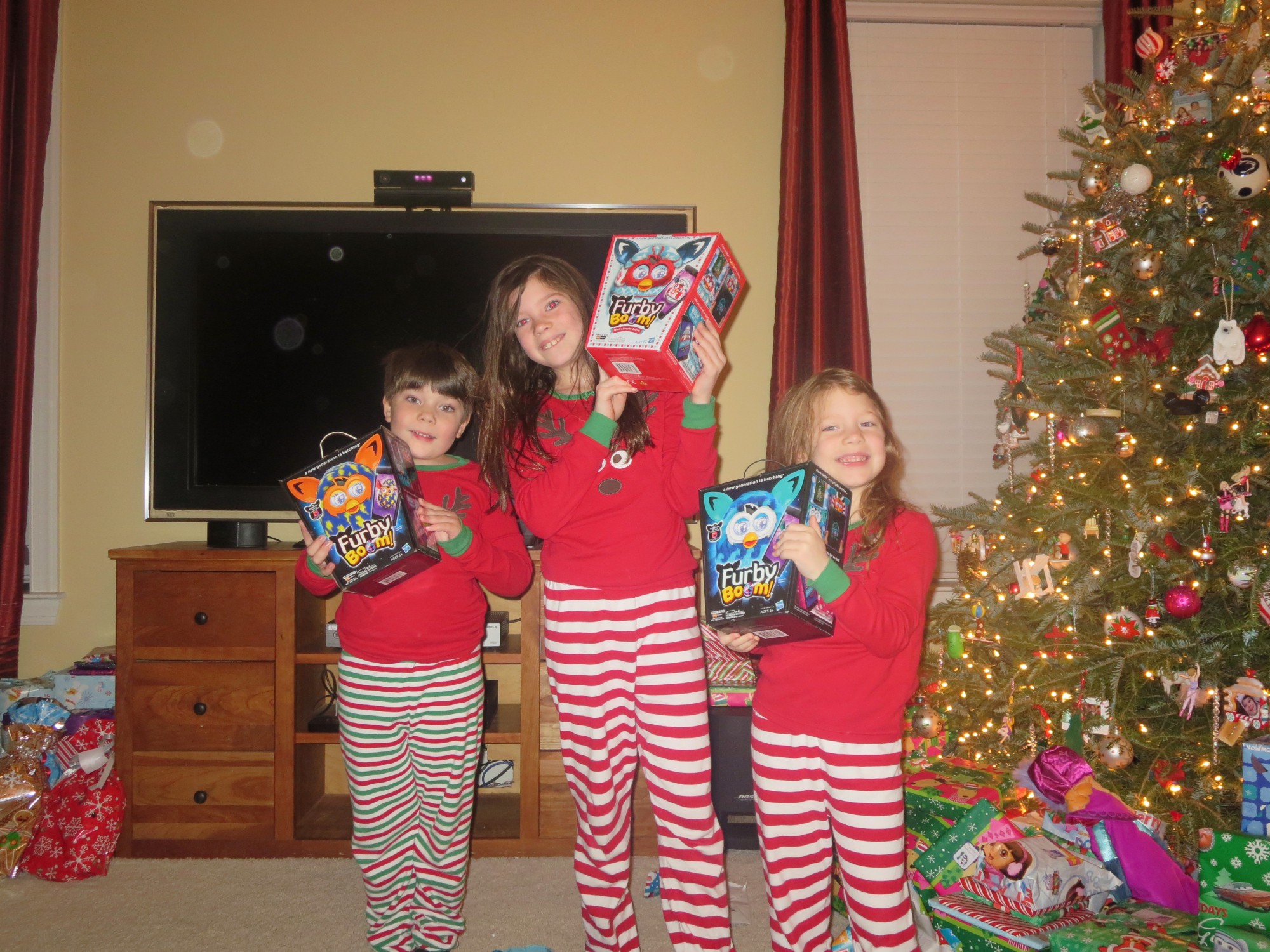 img_0685 photo