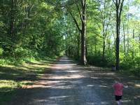 Marsh Creek Stroll