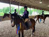 Meg's Horse Show Competition
