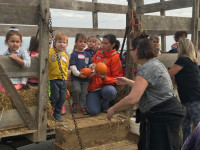 Pumpkin Patch Field Trip