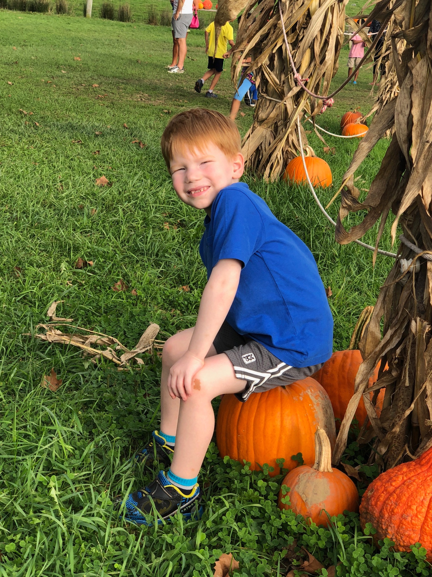 2018-10-10-brooks-pumpkin photo