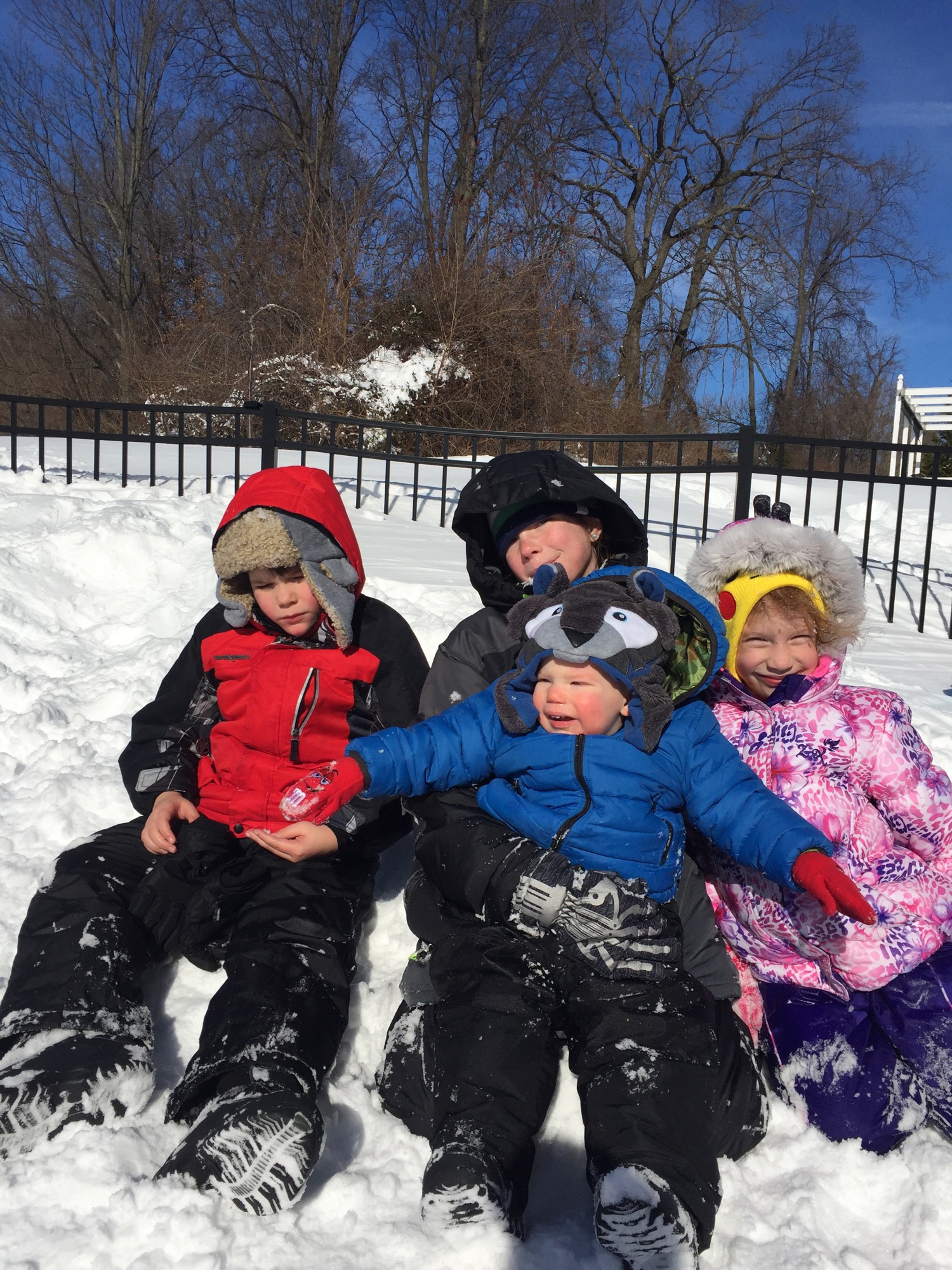 01-23-2016-snowed-in-7 photo