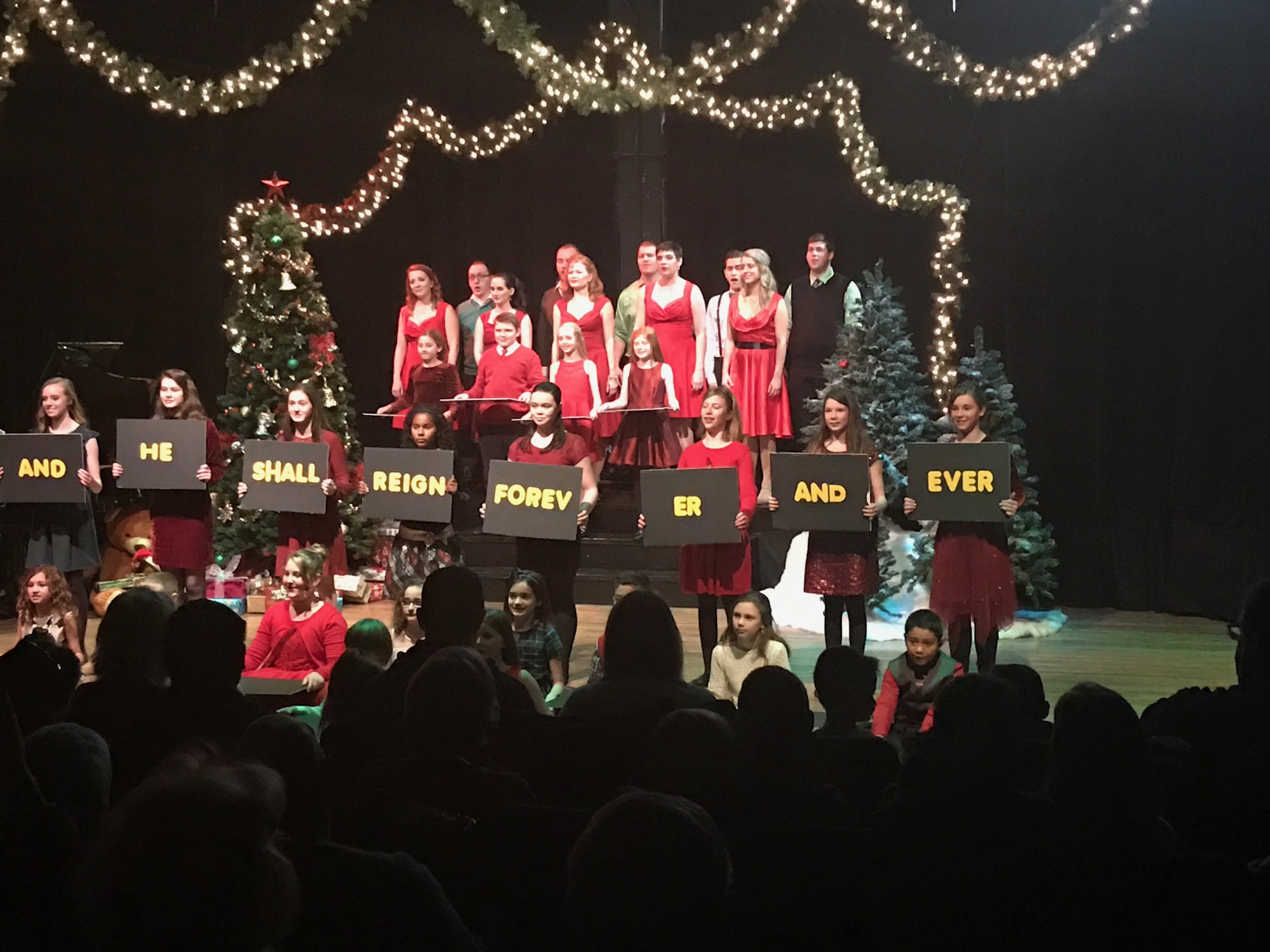 12-10-2016-maddie-xmas-salt-3 photo