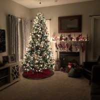 Xmas Tree & Santa Brunch